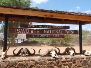 Tsavo Mombasa Safari