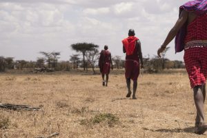 walking safari with masai mara