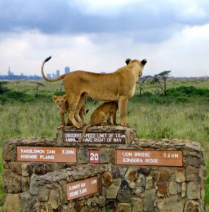 nairobi safari