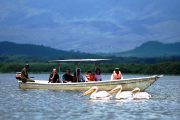 Lake Naivasha Boat Safari