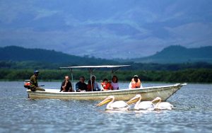 Lake Naivasha Boat Safari