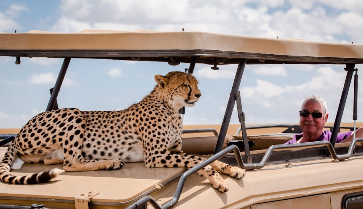 5 Days wildlife safari Kenya