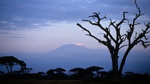 4-Day safari from Mombasa Tsavo Amboseli