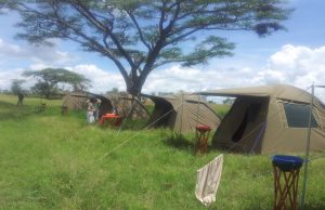 Kenya Camping Safari