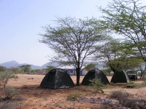 3 day basic camping Masai Mara