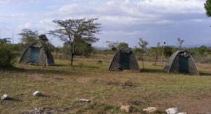 3 days Masai Mara Camping Safari
