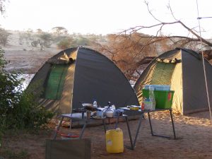 3 days camping safari masai mara