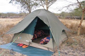 shimba hills safari