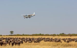 8 days Fly in Kenya Safari