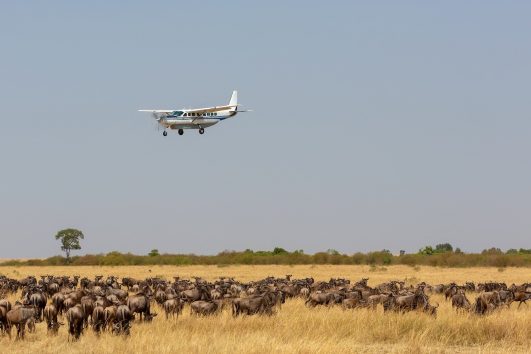 8 days Fly in Kenya Safari