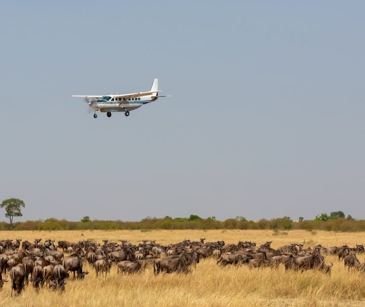 8 days Fly in Kenya Safari