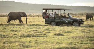 8 days fly in safari Kenya luxury