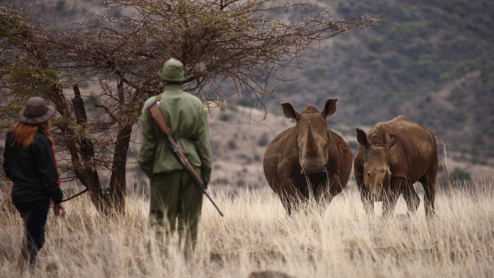 Lewa Wildlife Conservancy