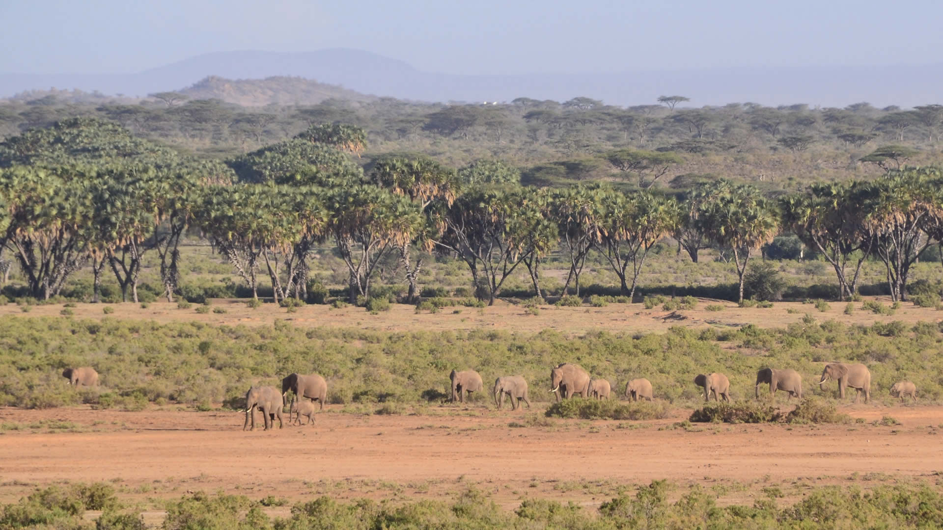 Aberdares National Park, Kenya