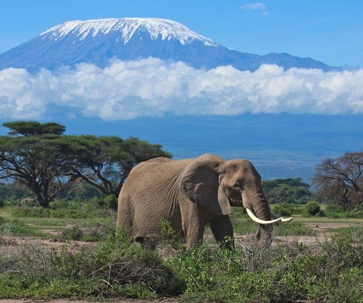 3 days Amboseli safari affordable