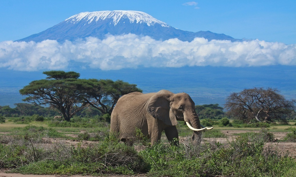3 days Amboseli safari affordable
