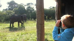 Family safaris in Kenya tips