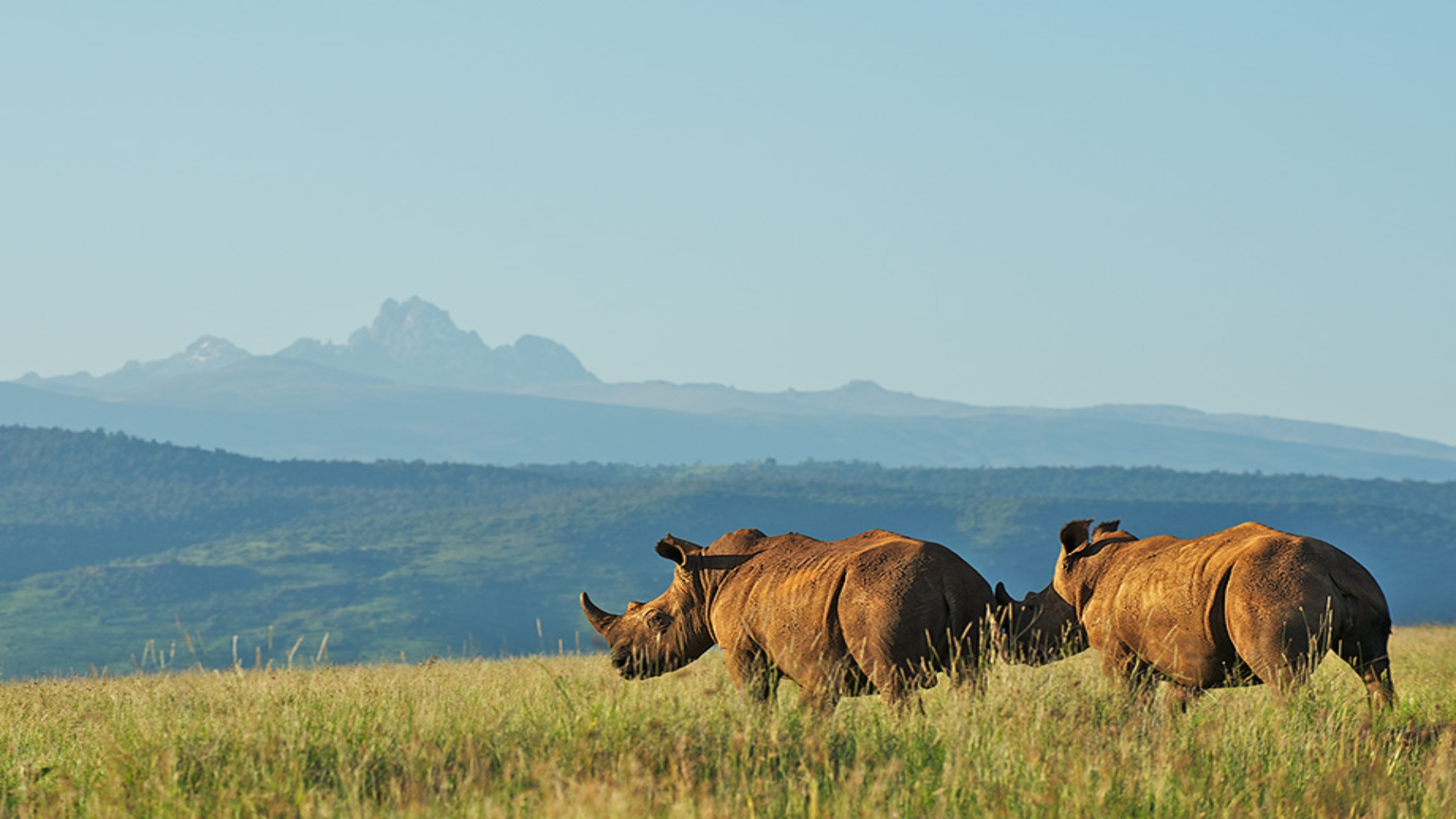 Mount Kenya National Park | Climb Mount Kenya