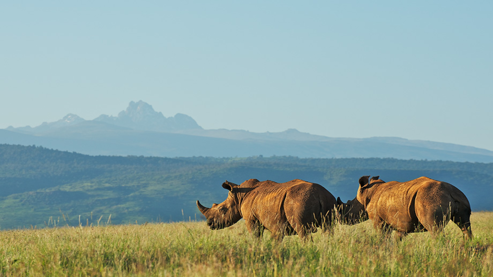 Mount Kenya National Park