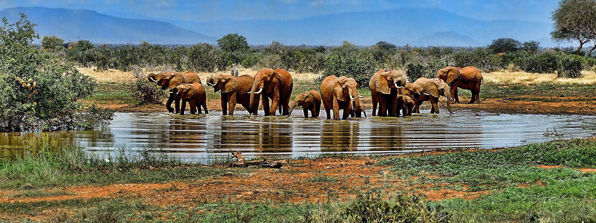 Kenya Safaris & Tours from Mombasa