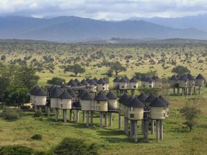 3-day Short safari from Mombasa, Tsavo East & Salt Lick