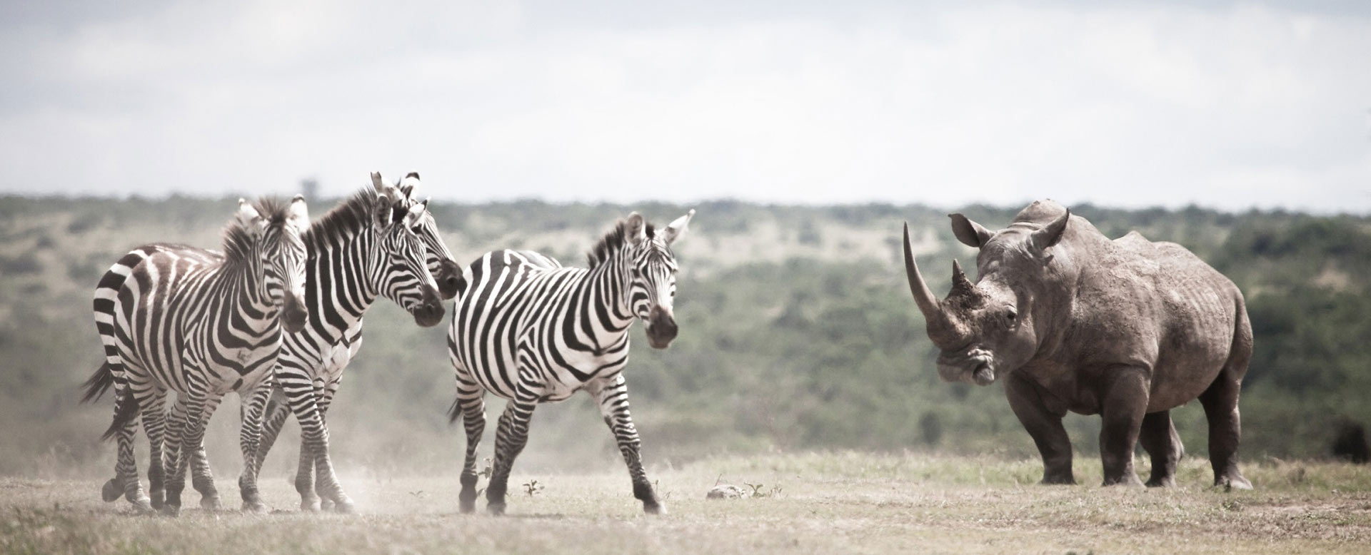 Solio Game Reserve, Kenya