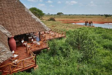 2 days mombasa safari Ngutuni Taita Salt lick