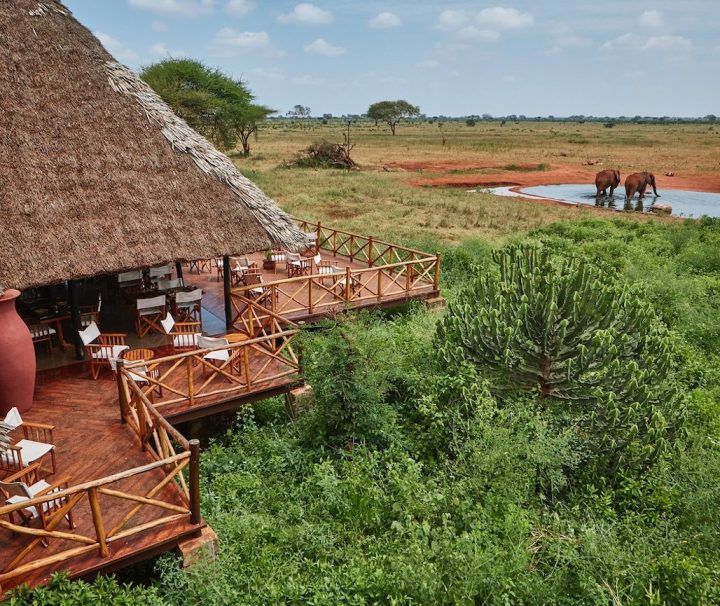 2 days mombasa safari Ngutuni Taita Salt lick