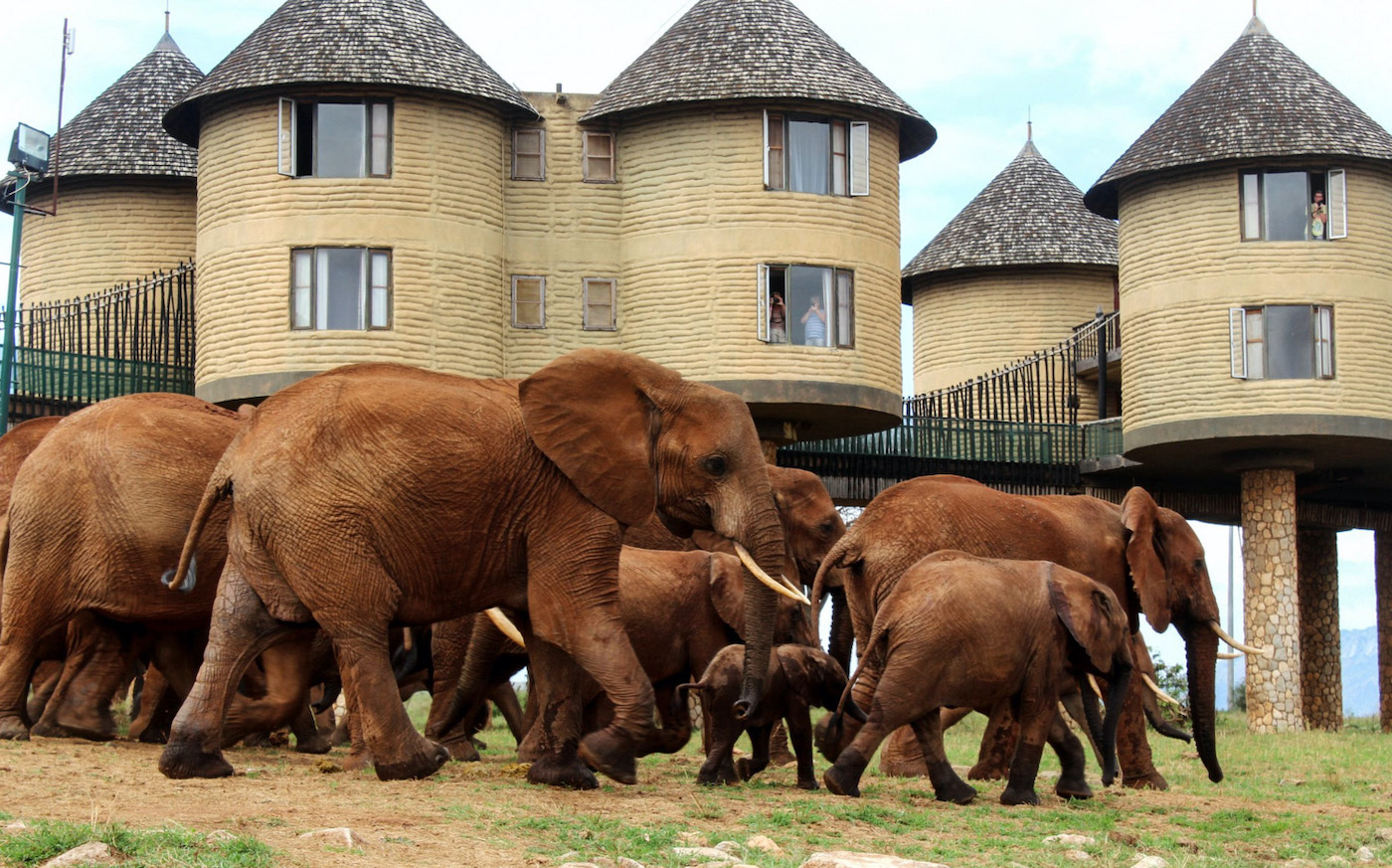 safari sound mombasa