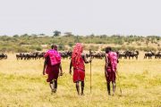 3 days Mombasa safari to Masai Mara