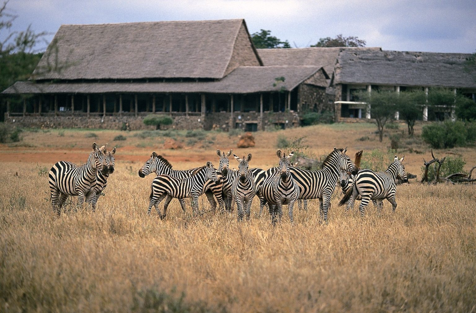 safari in mombasa