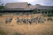 4 days safari from mombasa