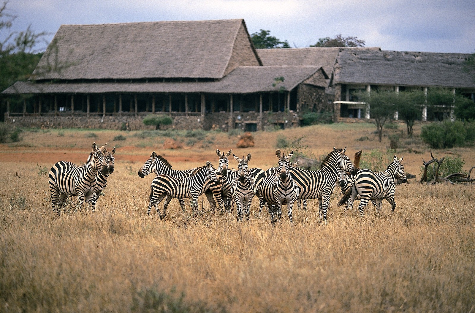 4 days safari from mombasa