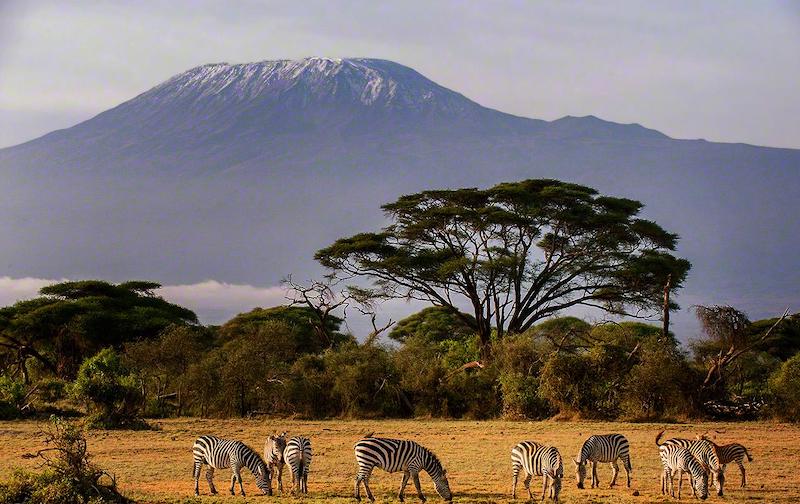 Five day safari Kenya