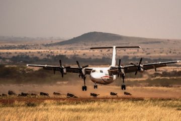 3 day fly in Mombasa to Masai Mara safari