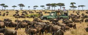Kenya safari prices