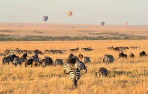 6 days Kenya safari
