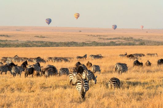 6 days Kenya safari