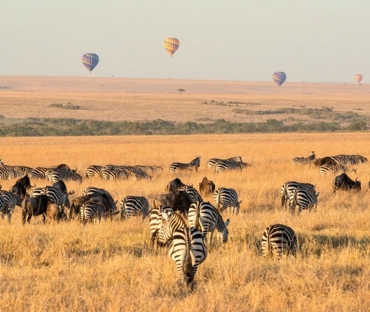 6 days Kenya safari