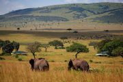 Safari Kenya 6 Days