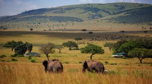Safari Kenya 6 Days