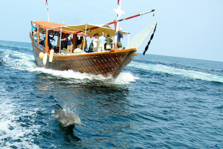 1 Day Dolphin Tour Wasini from Diani
