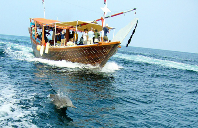 wasini island tour from diani