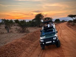 Kenya safari land cruiser jeep