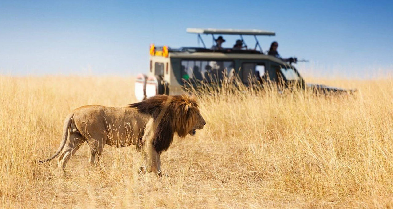 Kenya safari tours from Nairobi