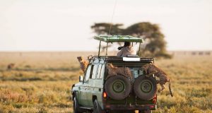 7 days wildlife safari kenya