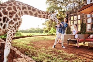 family safari Kenya giraffes manor