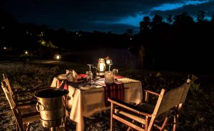 Ashnil Mara Camp bush dinner