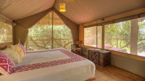 Base Camp Mara Room