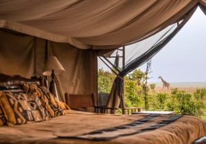 Governors Camp Room with a view